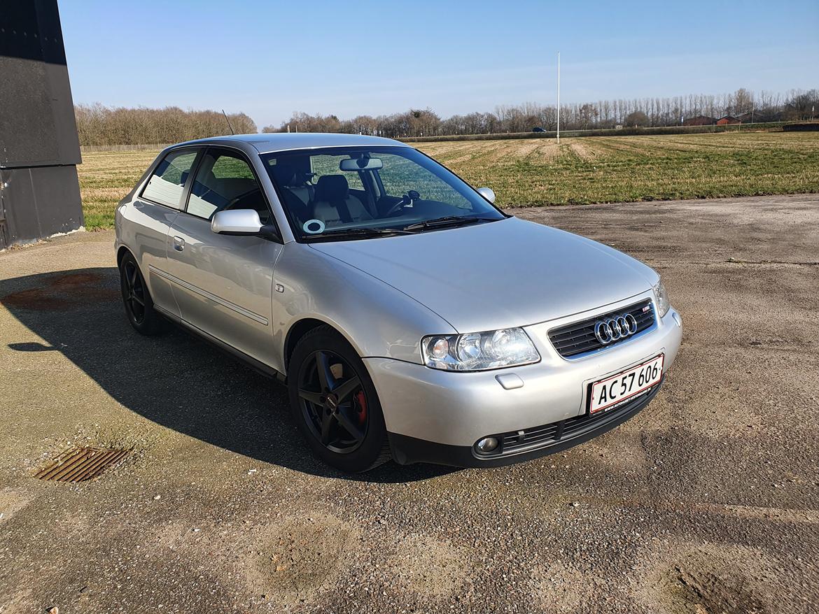 Audi A3 1.9 TDI 130 billede 1