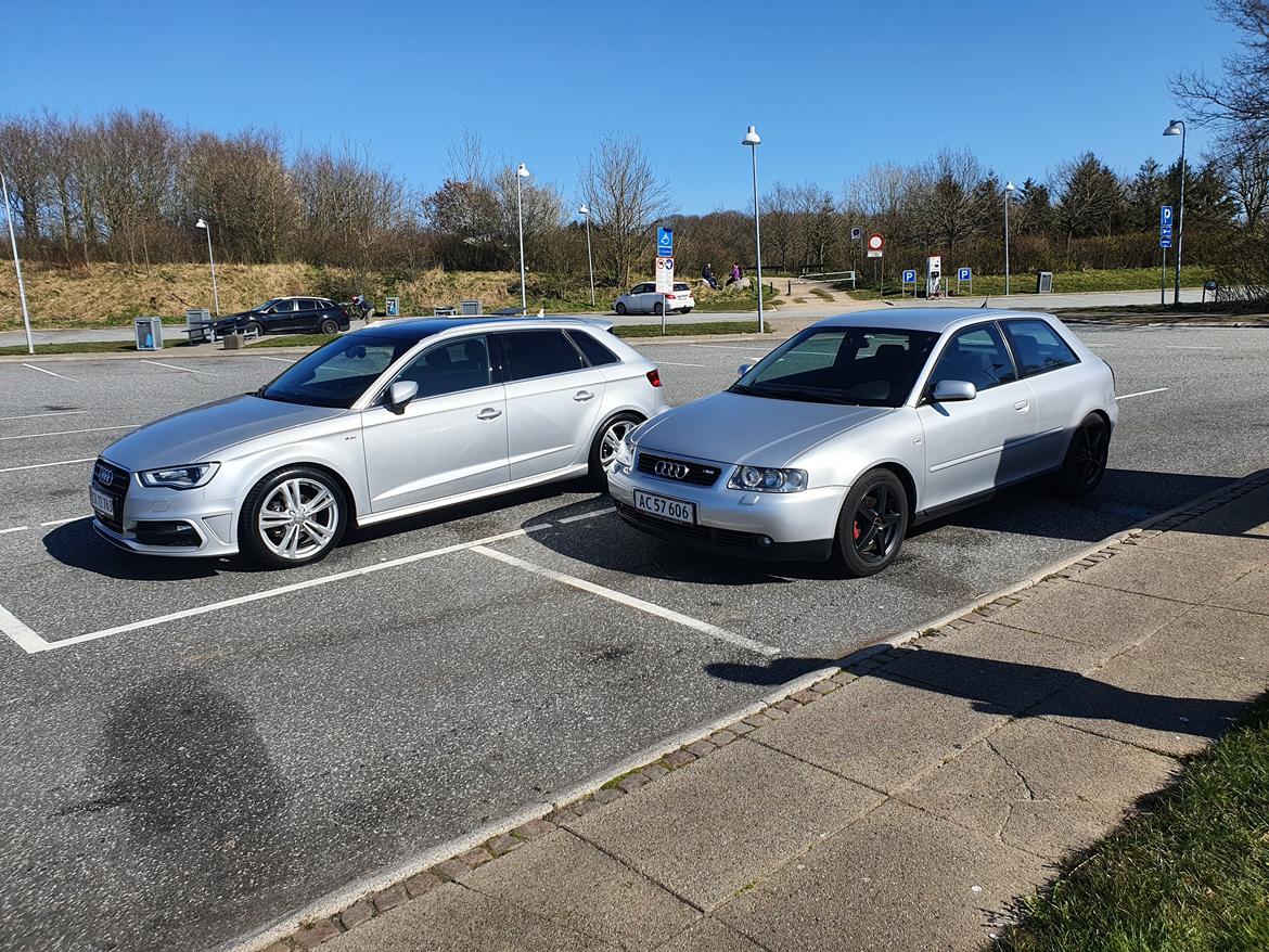 Audi A3 1.9 TDI 130 billede 10