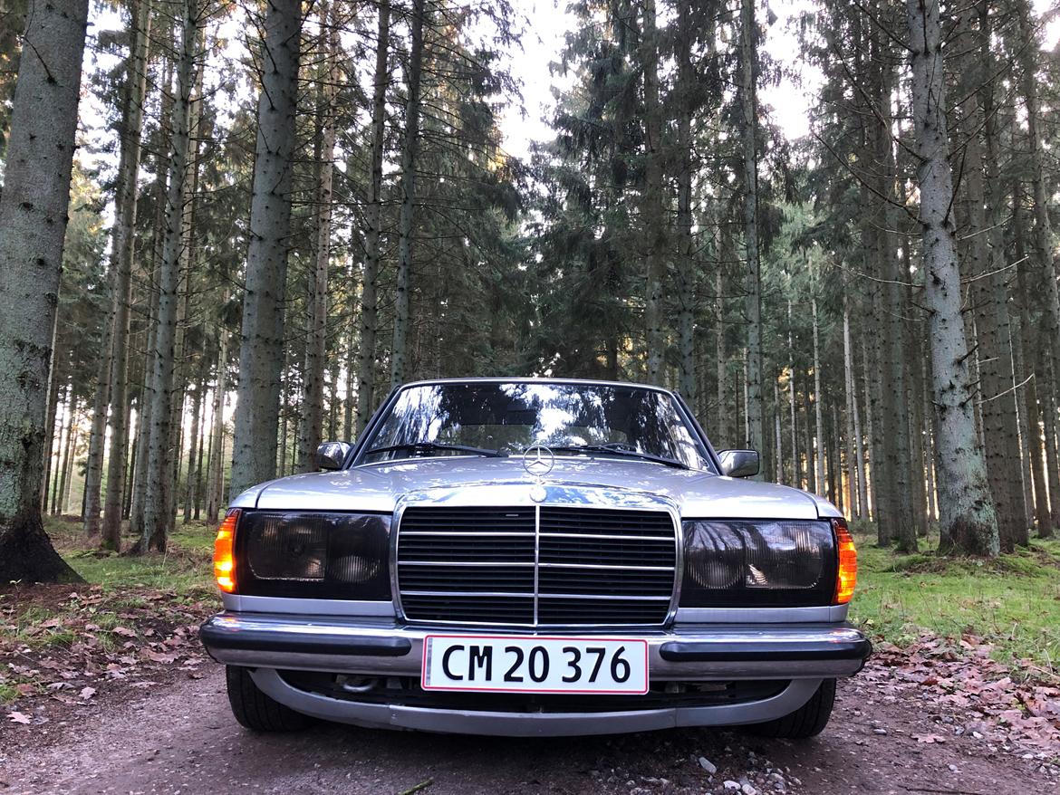 Mercedes Benz 230E (W123) billede 9