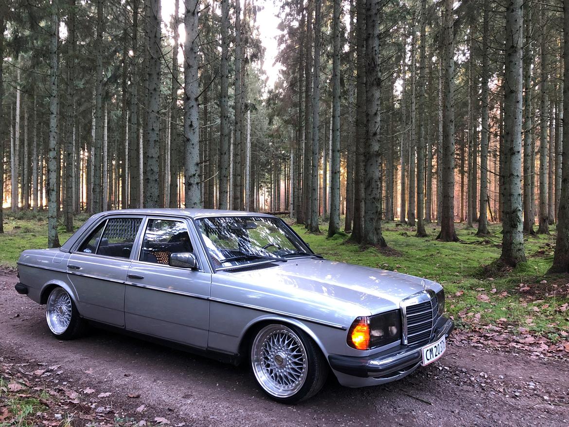 Mercedes Benz 230E (W123) billede 10