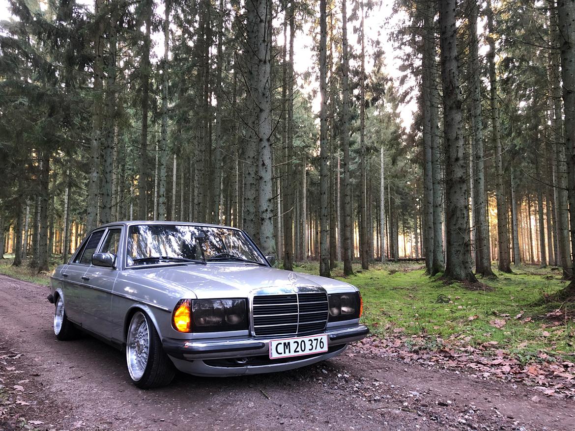 Mercedes Benz 230E (W123) billede 11