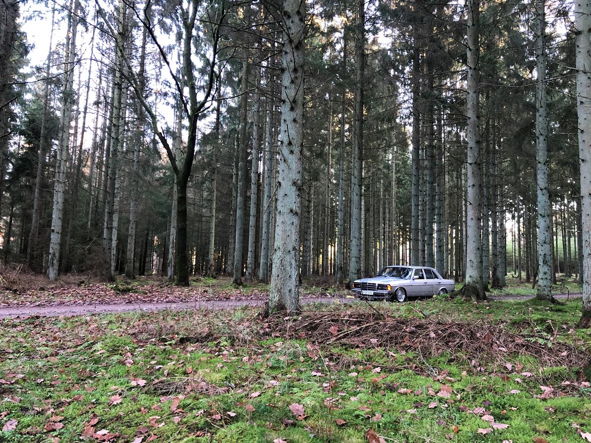 Mercedes Benz 230E (W123) billede 13