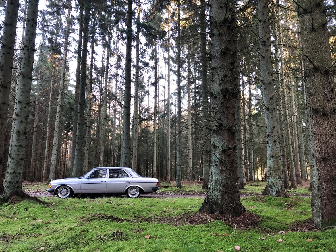 Mercedes Benz 230E (W123) billede 14