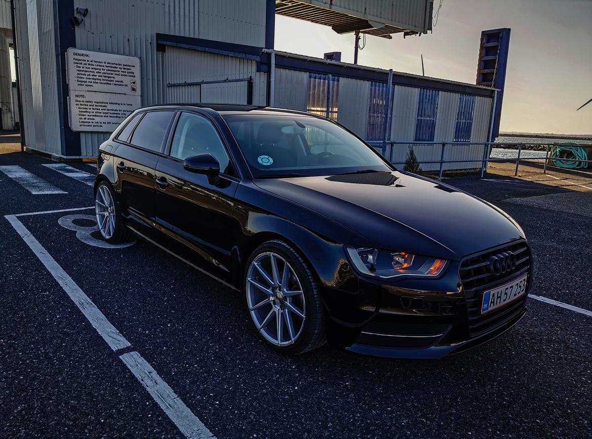 Audi A3 1.6 TDI billede 1