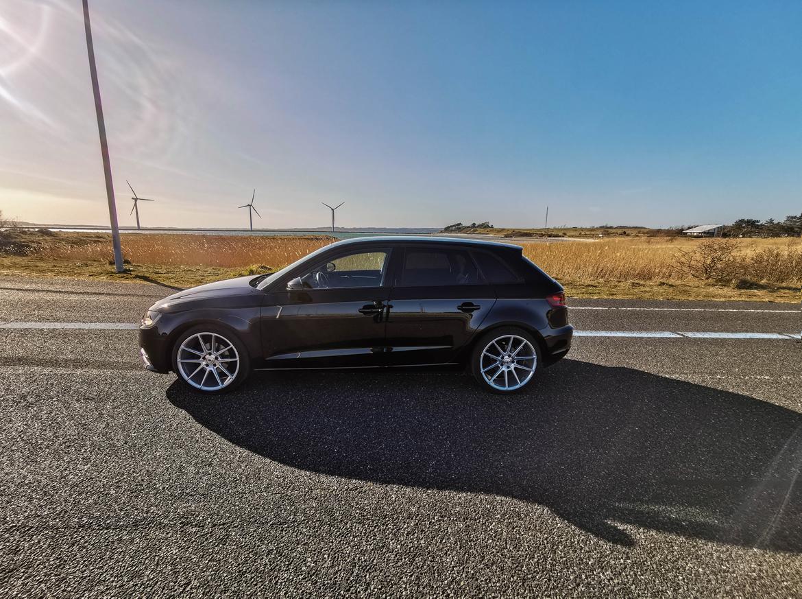 Audi A3 1.6 TDI billede 3