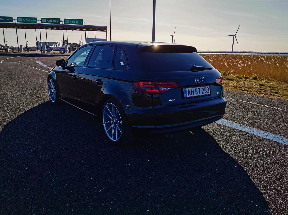 Audi A3 1.6 TDI billede 4