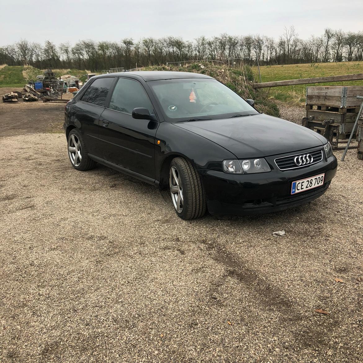 Audi A3 billede 12