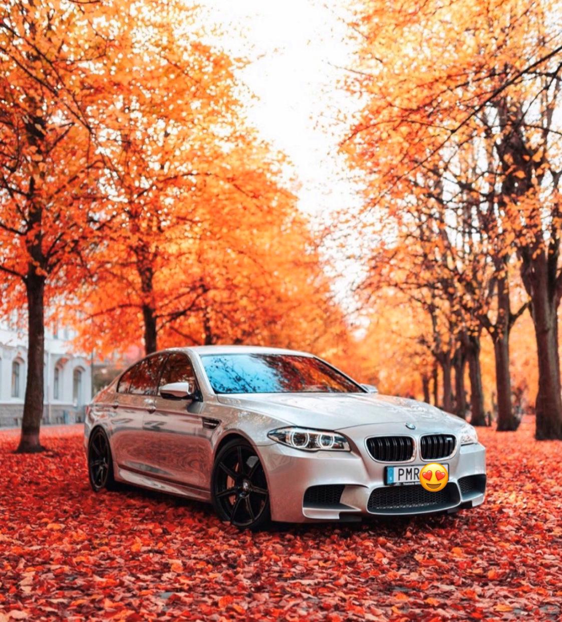 BMW M5 F10 Competition package billede 5