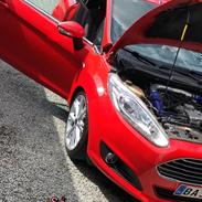 Ford Fiesta 1,0 ecoboost