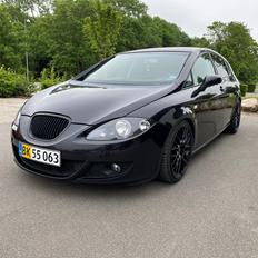 Seat Leon 1P 1.8TSI