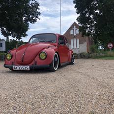 VW Bobbel