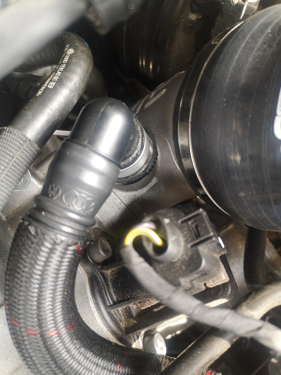 VW golf VII 2.0 GTI  Performance bmt Van.  billede 9