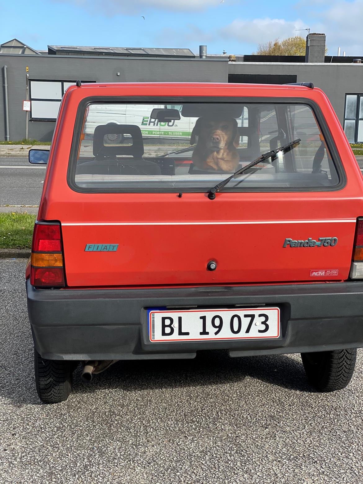 Fiat Panda billede 43