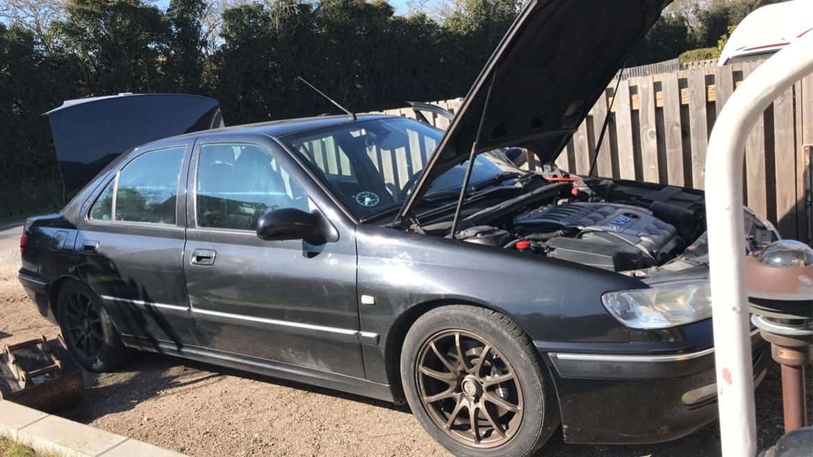 Peugeot 406 3.0 V6 billede 4