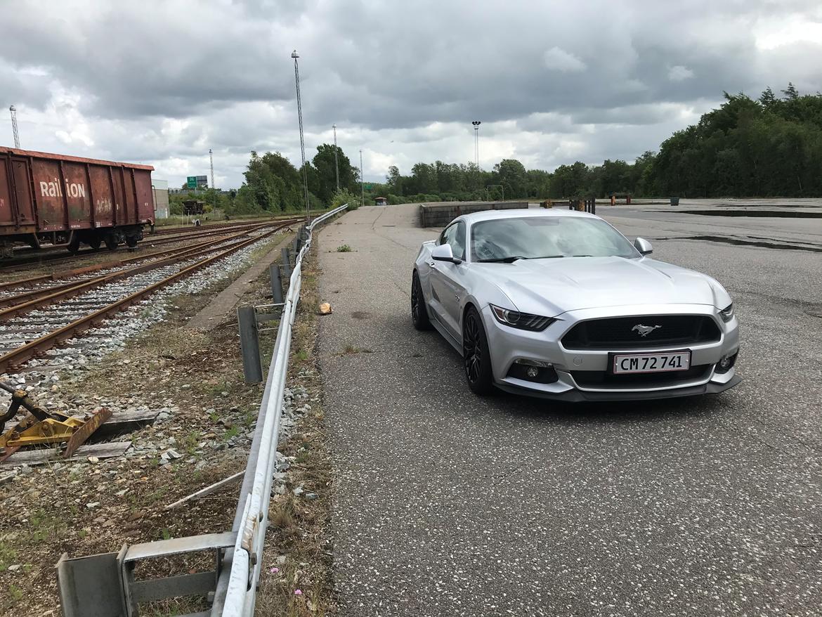 Ford Mustang GT billede 6