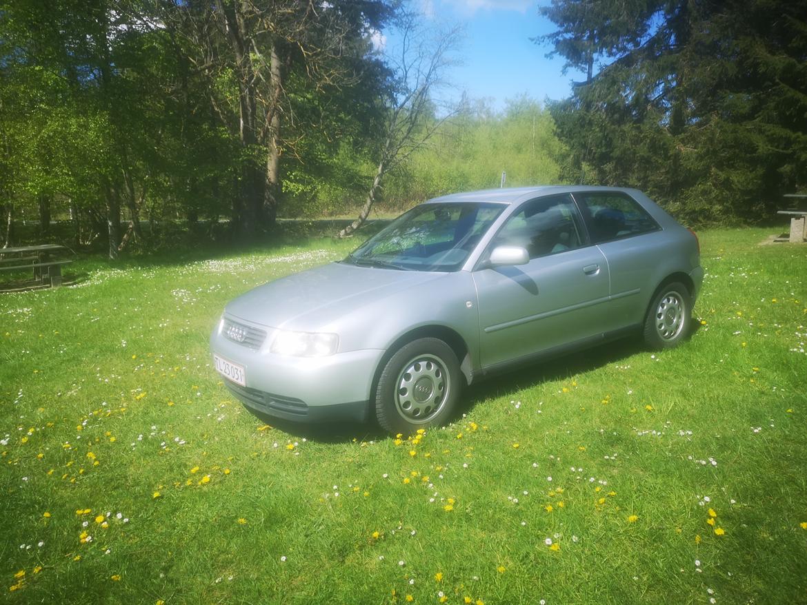 Audi A3 1.8.t  - lige kommet hjem billede 9