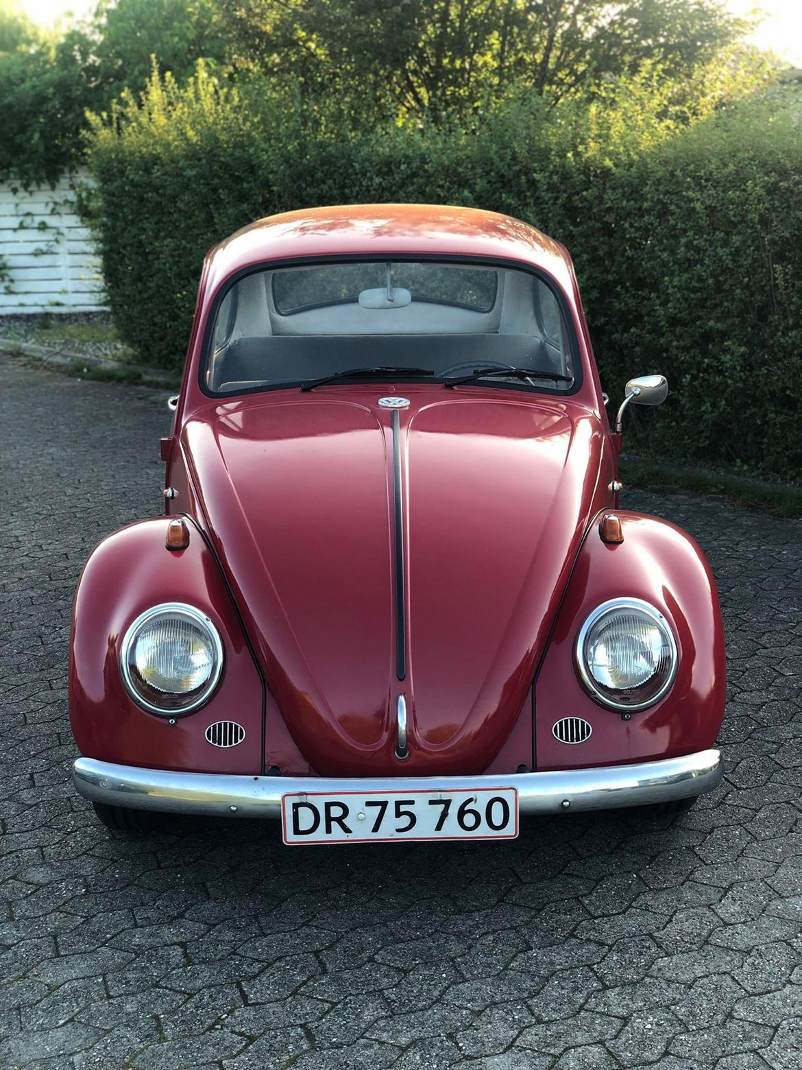 VW Bobbel 113 - 1300 De Luxe  billede 9