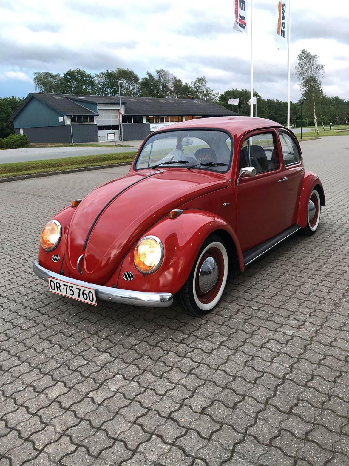 VW Bobbel 113 - 1300 De Luxe  billede 11