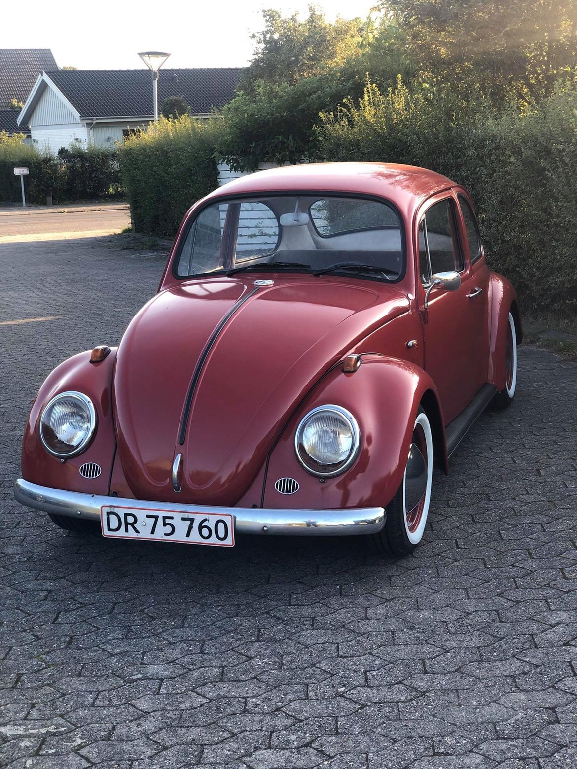 VW Bobbel 113 - 1300 De Luxe  billede 10