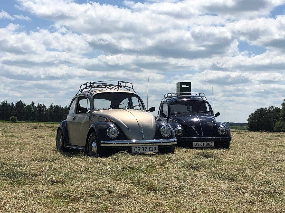 VW Bobbel 1200 billede 6