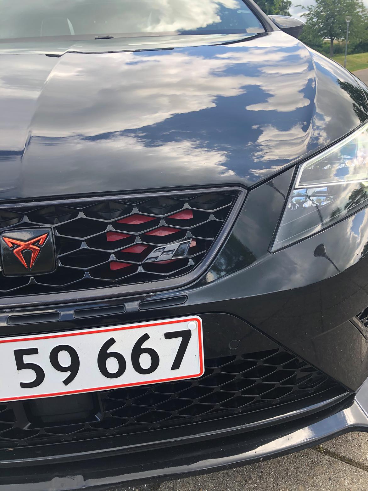 Seat Leon ST Cupra 290 billede 8