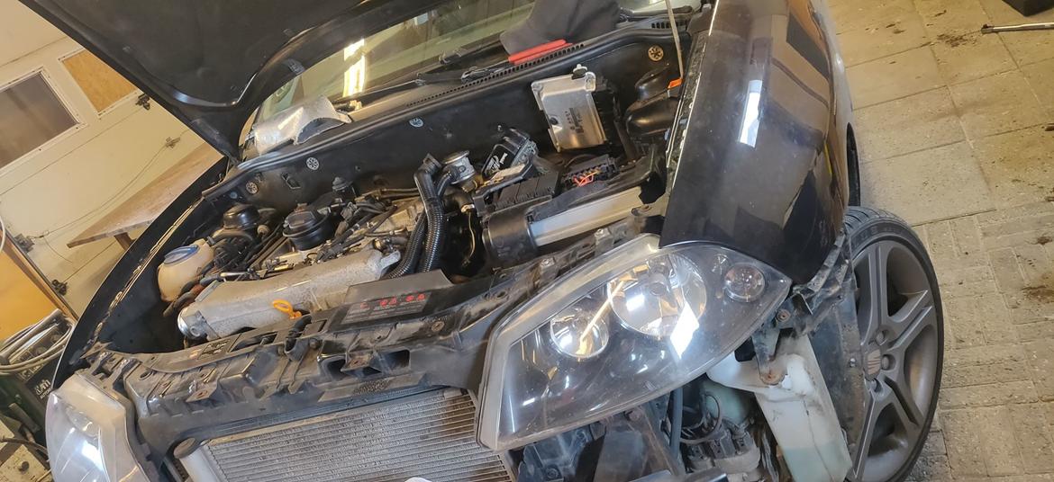 Seat ibiza 6L billede 8