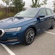Skoda Octavia A8 2.0 TDI Wagon Queen Family Truckster