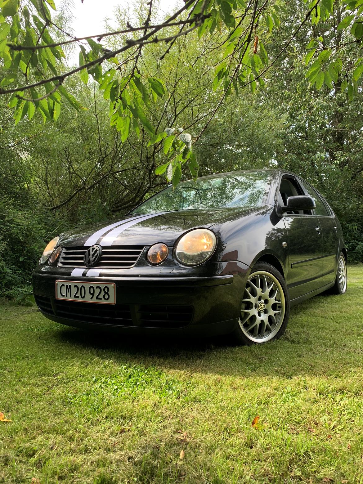 VW Polo 9n billede 14