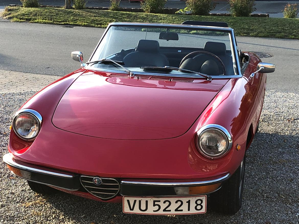 Alfa Romeo Spider 1750 Veloce  (“Coda tronca”) billede 6