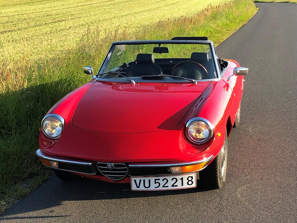 Alfa Romeo Spider 1750 Veloce  (“Coda tronca”) billede 4