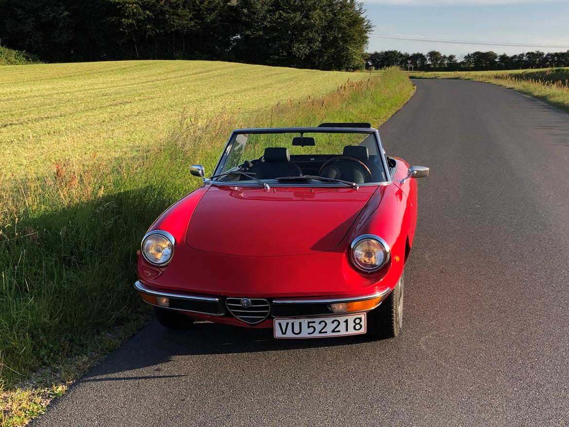 Alfa Romeo Spider 1750 Veloce  (“Coda tronca”) billede 15