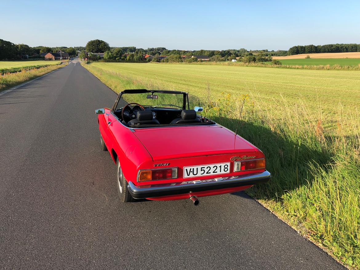 Alfa Romeo Spider 1750 Veloce  (“Coda tronca”) billede 16