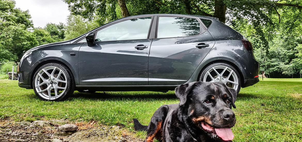 Seat Ibiza Stylance 1.4 16V  billede 6