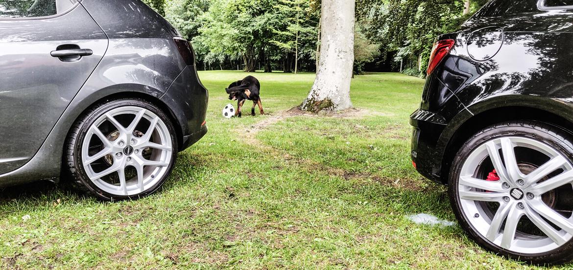 Seat Ibiza Stylance 1.4 16V  billede 10