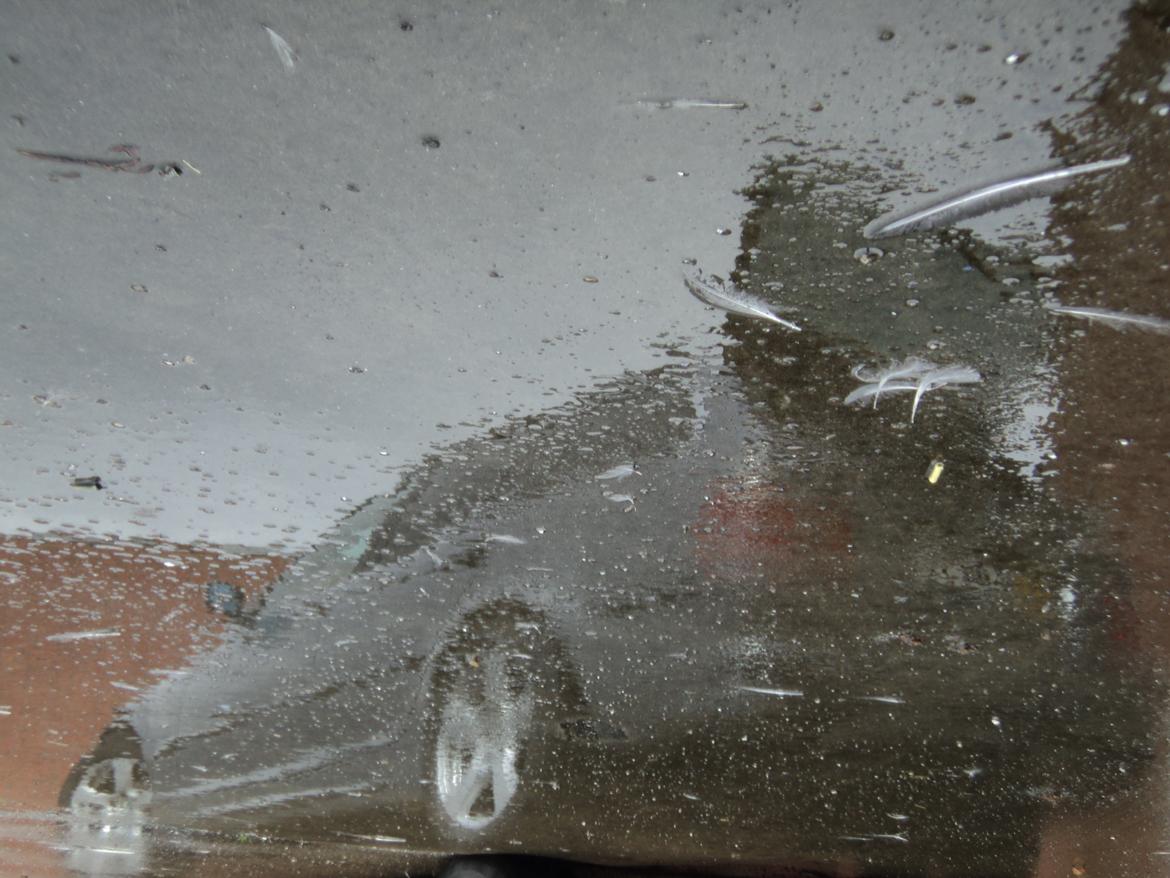 BMW E46 320dA Touring billede 12