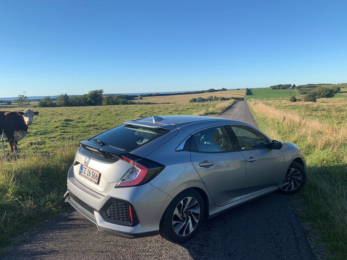 Honda Civic 1.0 VTEC Turbo billede 12