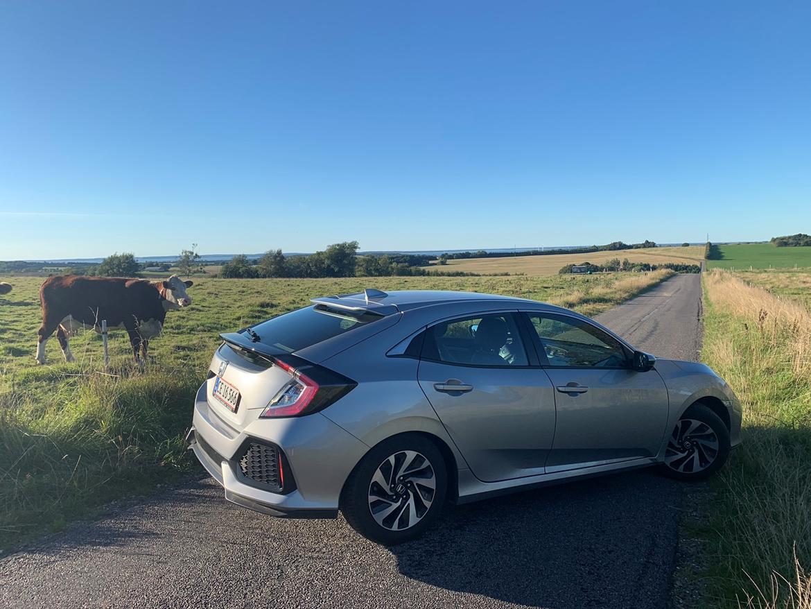 Honda Civic 1.0 VTEC Turbo billede 22