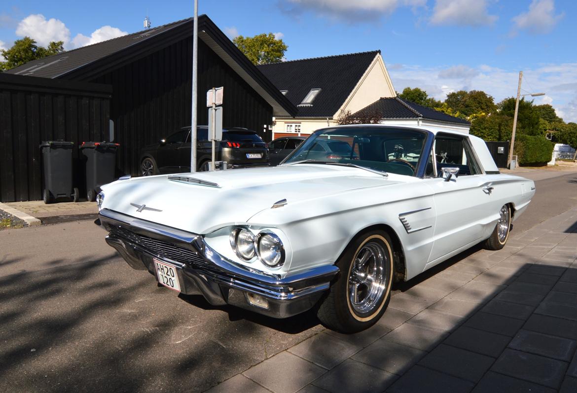 Ford Thunderbird billede 3