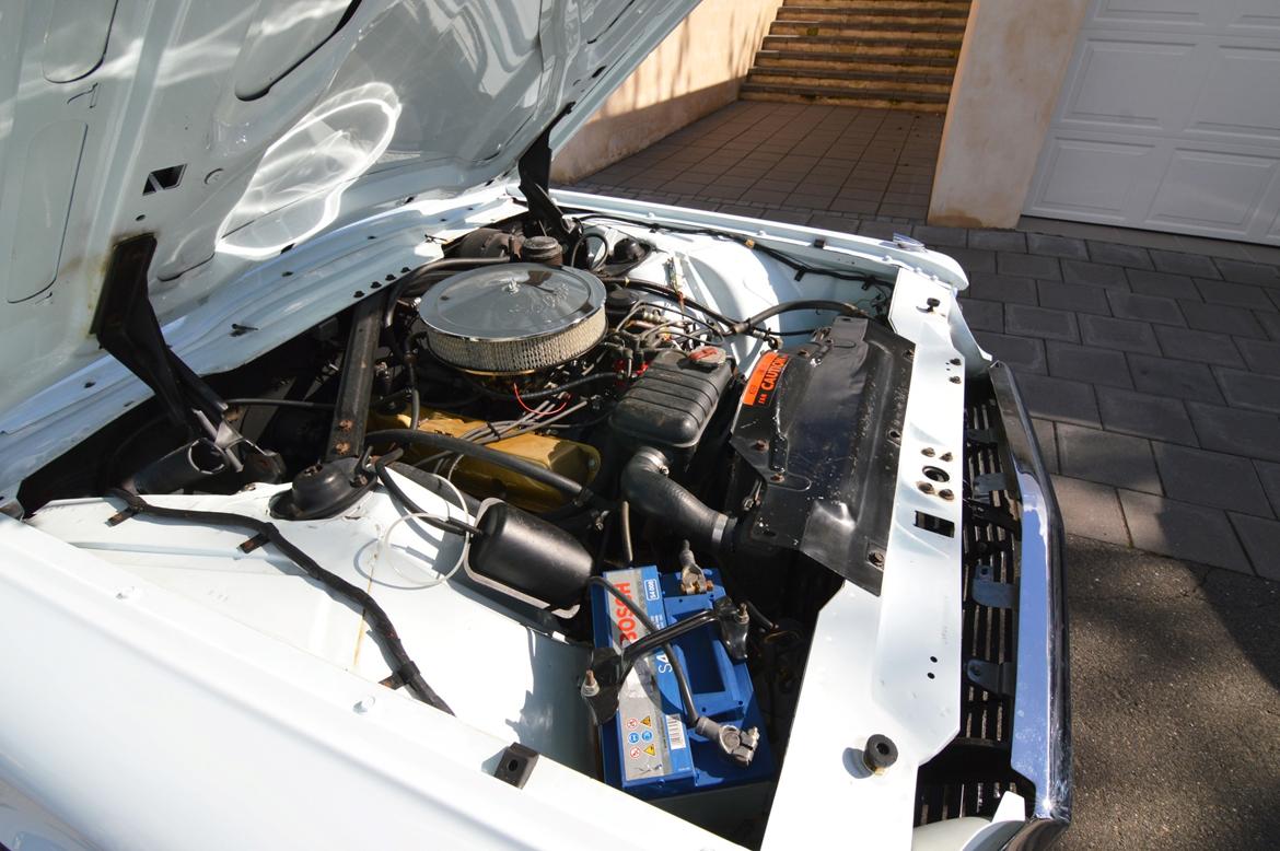 Ford Thunderbird billede 20