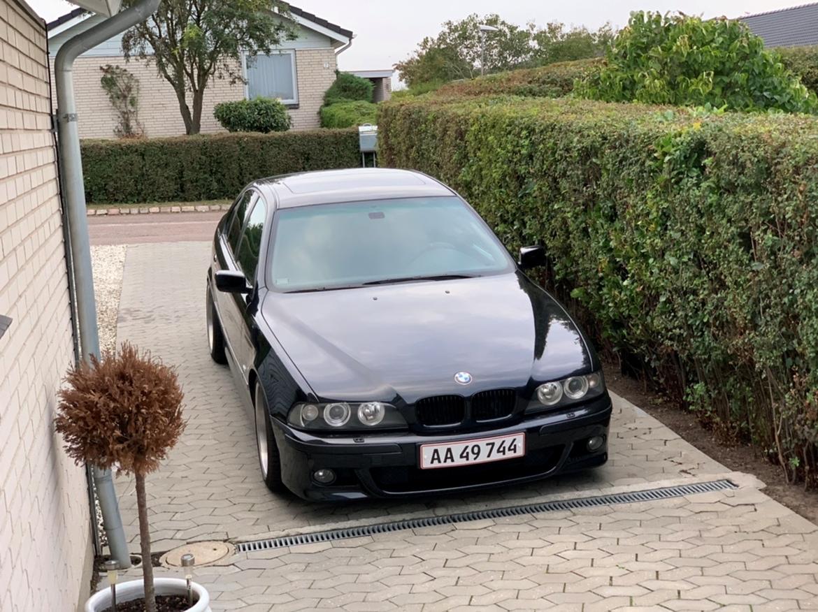BMW E39  / SOLGT billede 20