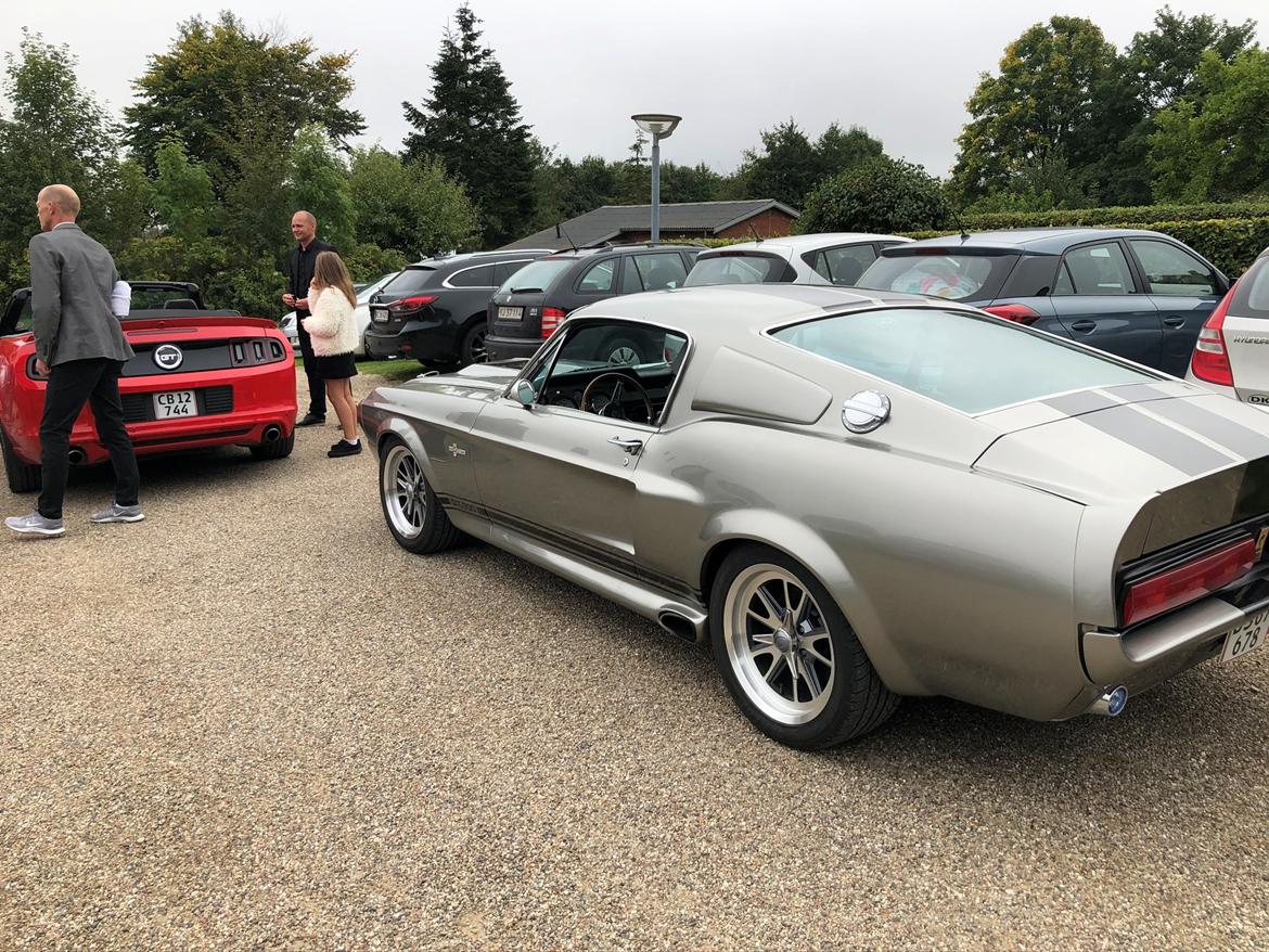 Ford Mustang Fastback Shelby GT500 billede 10