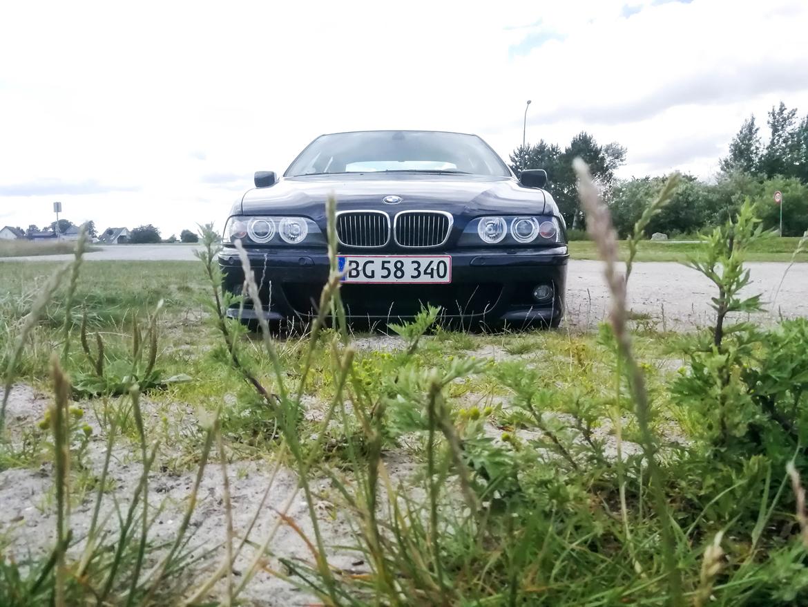 BMW E39 540i - Individual billede 9