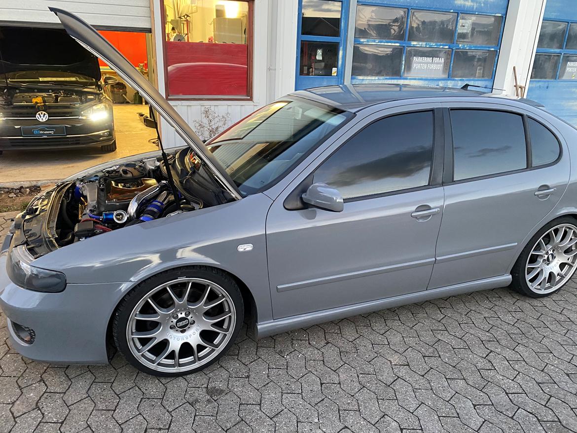 Seat Leon Cupra R billede 1