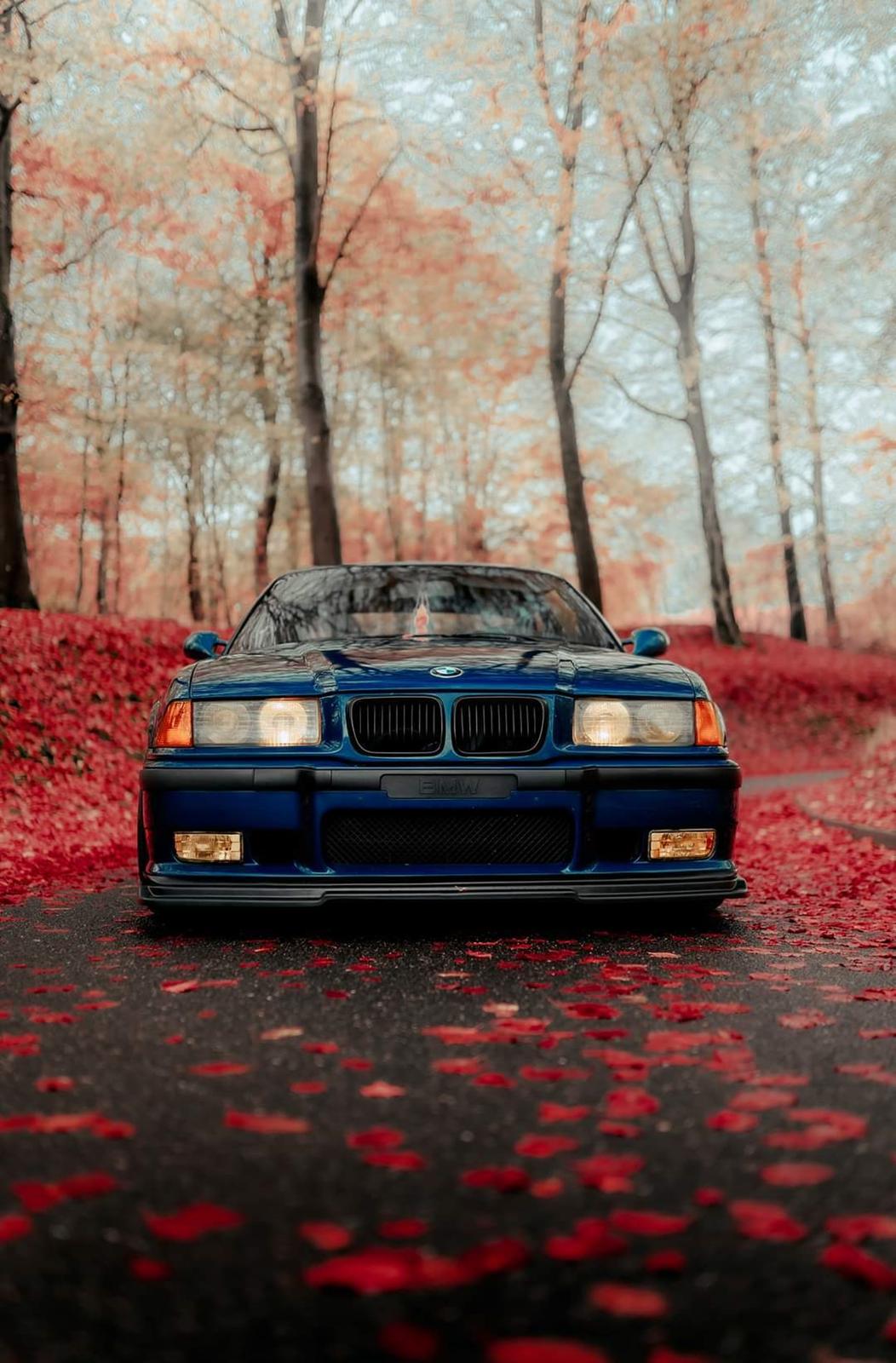 BMW E36 3.2 M3 Coupé billede 8