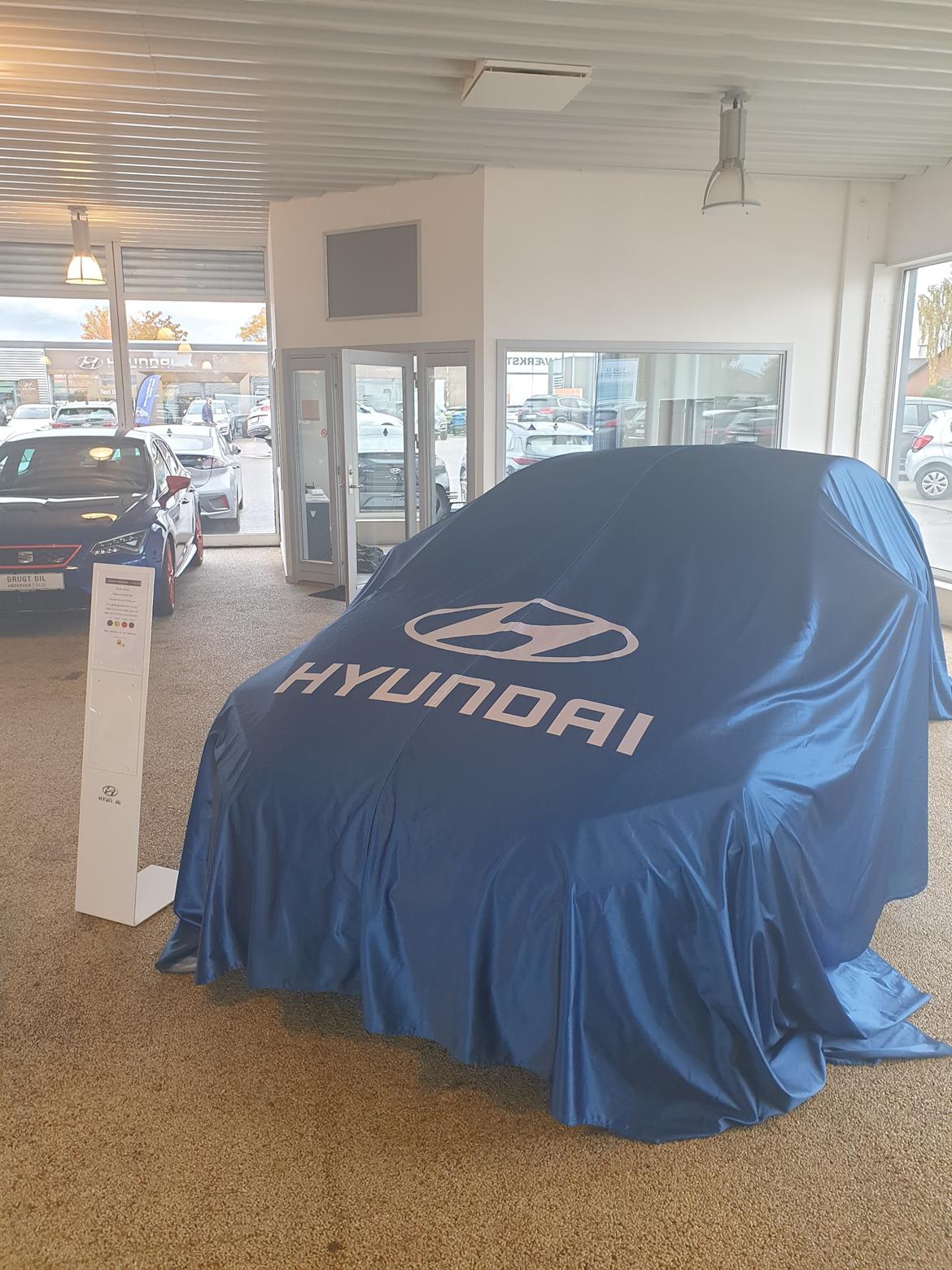 Hyundai ioniq electric premium 2020 billede 7