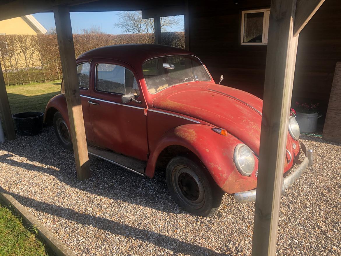 VW Bobbel 1200 billede 2