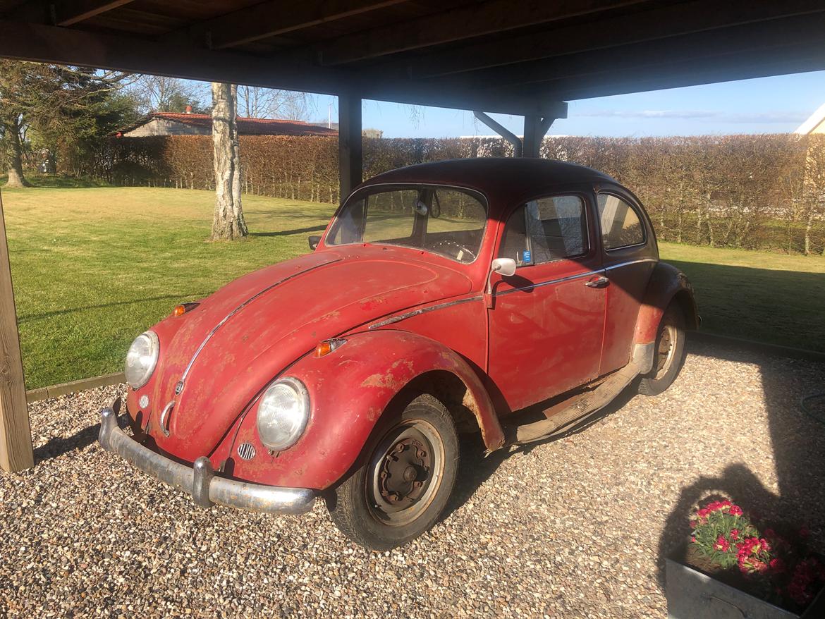 VW Bobbel 1200 billede 1