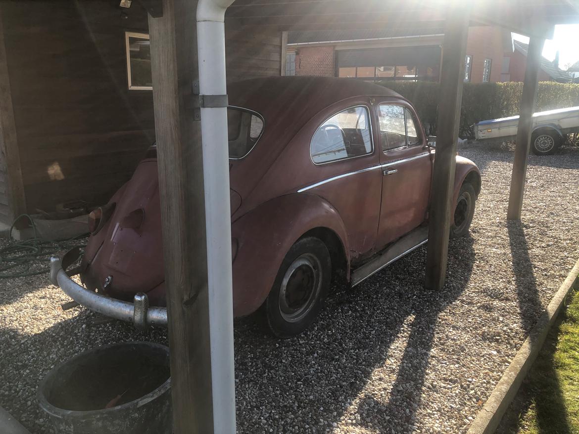 VW Bobbel 1200 billede 3