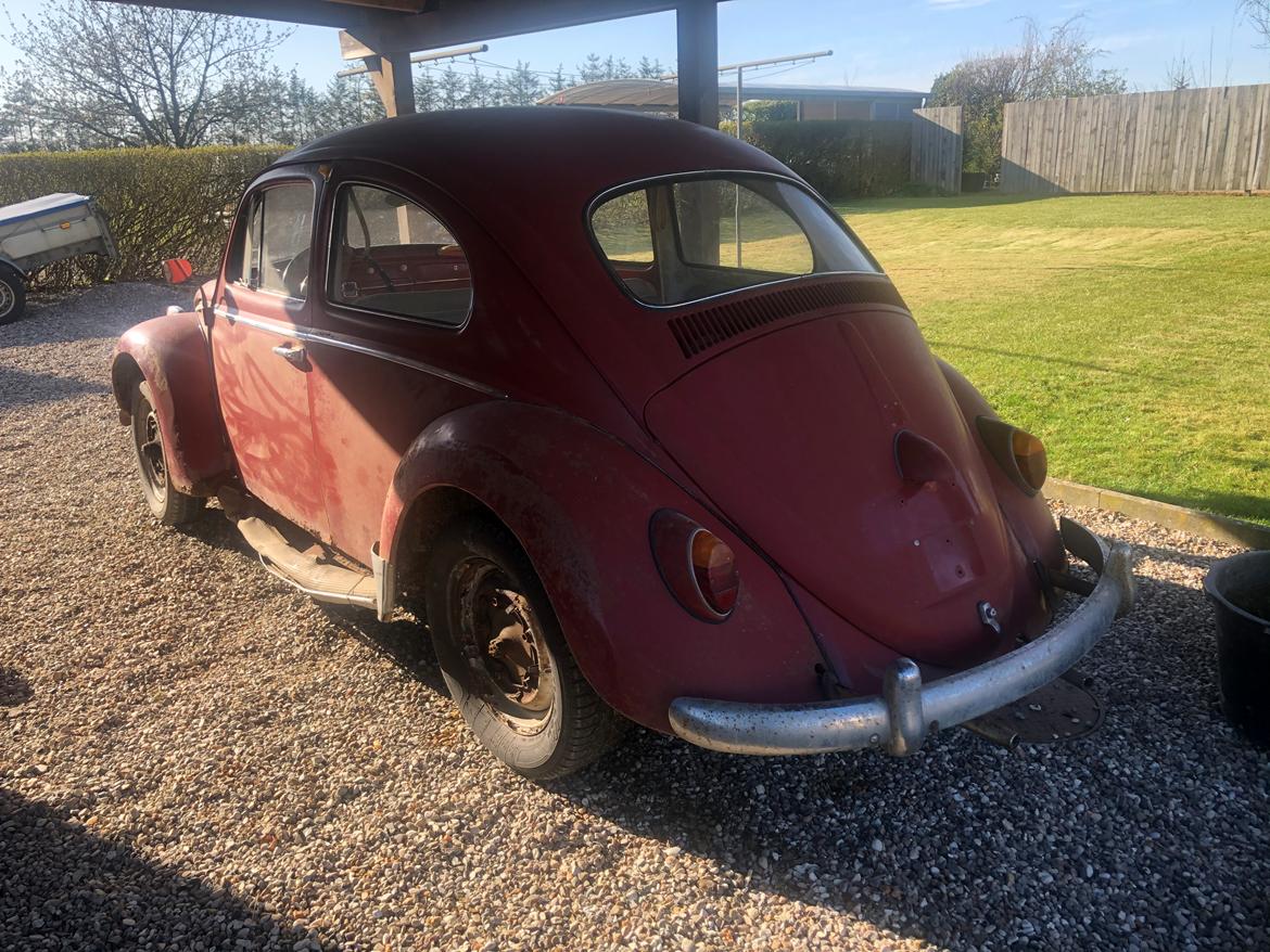 VW Bobbel 1200 billede 4