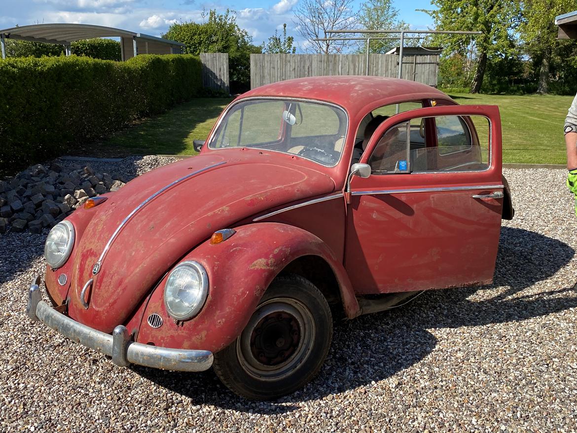 VW Bobbel 1200 billede 6